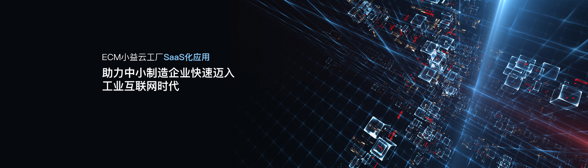 团队合影